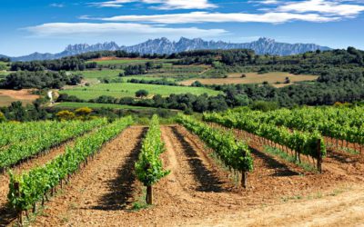 LA FREIXENADA, cuna del Cava